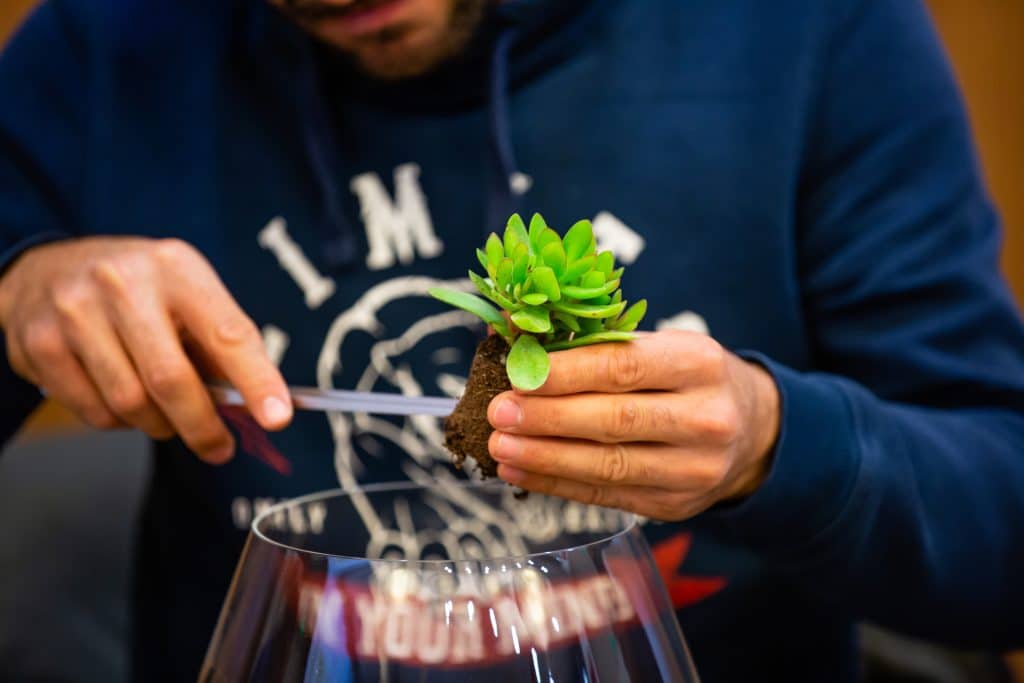 Terrarium Workshop Team Building