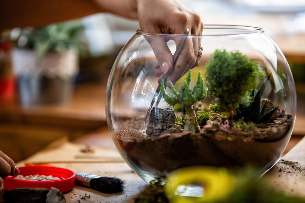 Terrarium Workshop Team Building