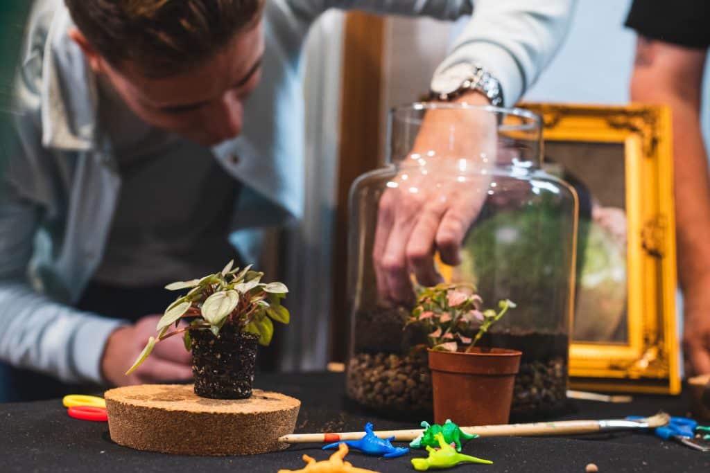 Terrarium Workshop Team Building